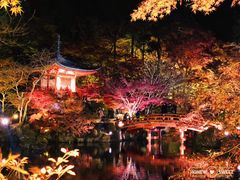 -醍醐寺