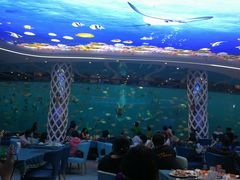 -瑞德姆美人鱼海底演艺主题餐厅(亚龙湾店)