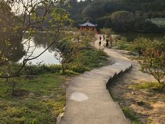 -南国桃园旅游度假区