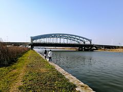 -春花秋色城市公园