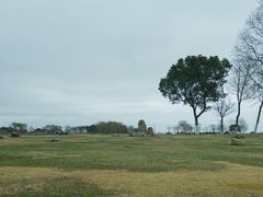 -巢湖姥山岛