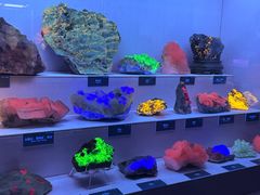 -湖南省地质博物馆