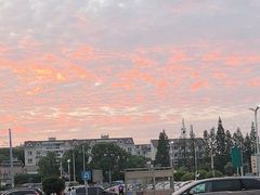 -新场古镇-停车场