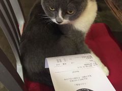 -MIKAKU(万达广场上海宝山店)