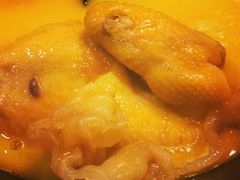 -鲜入围煮花胶鸡海鲜火锅