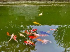 -三里河公园