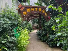 -天目湖山水园