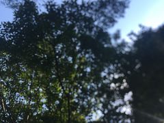 -瀛洲公园