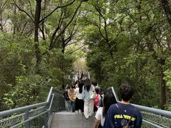 -佛山华盖山公园
