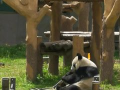 -沈阳森林动物园