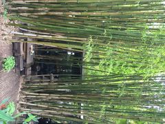 竹里馆-新竹里馆·花园餐厅(兴苑路店)