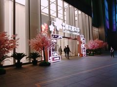 -金茂览秀城