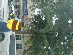 -中国人民解放军第九医学中心(306医院)