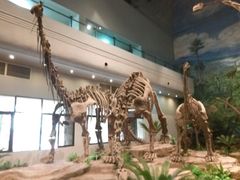 -自贡恐龙博物馆