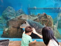 -广东惠东海龟国家级自然保护区