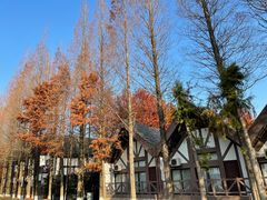 -太阳岛度假酒店