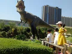 -陕西自然博物馆