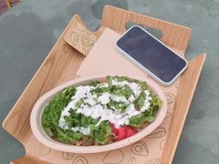 -油梨树AVOCADO TREE(顺义新国展店)