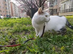 -哈尔滨师范大学(松北校区)