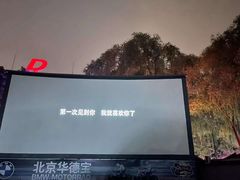 -枫花园汽车电影院(朝阳公园店)
