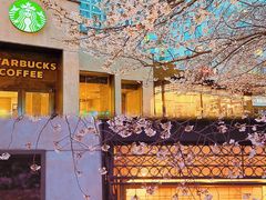 -玛格萝妮比萨屋(四平店)