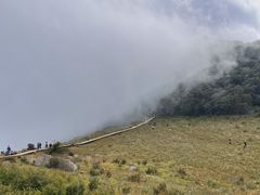 -白草畔自然风景区