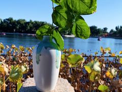 -小王府(什刹海店)