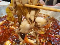 -靓蛙馆