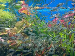 -海合安天津极地海洋公园