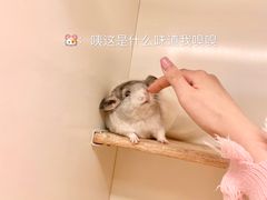 -龙猫仔乐园(惠福东路店)