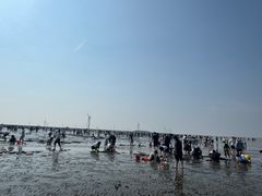 -碧海金沙