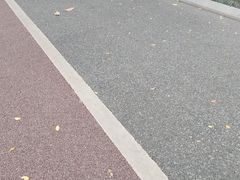 -南宁南湖公园