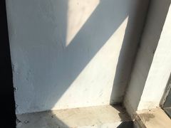 -巴陵全鱼席(湖南老字号汴河街店 )