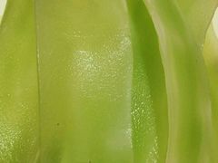 -憨石匠鲜菜土火锅(昆都店)
