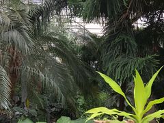 -上海鲜花港
