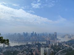 -南山植物园