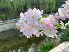 -海棠花溪(元大都城垣遗址公园)