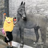 成都回忆录之宽窄巷子