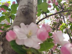 -元大都城垣遗址公园