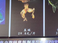 -蛙一刀·麻椒鱼火锅(金仙桥店)