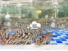 -欧记·龙城港(欣都店)