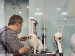 -中农大我爱我爱动物医院·核磁CT·猫病·24小时夜诊中心(石佛营店)