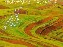 -百里天路
