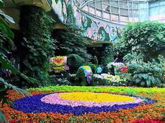 -花之城