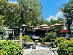 -蘇河湾·新鲁菜·泰山宴(泰山店)