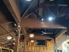-西双版纳原始森林公园