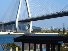 -芒洲湿地公园