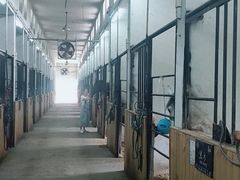 -枫露马术学院(藏书校区)