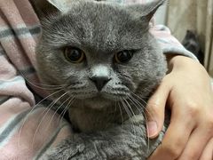 -客栈猫舍(中央北路店)