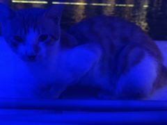 -琶醍壹号•潮菜江景餐吧